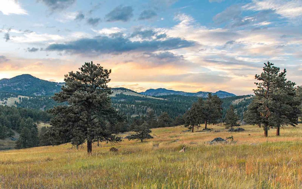 Late-afternoon view toward Rocky Mountain peaks at White Ranch Open Space near Golden, Colorado