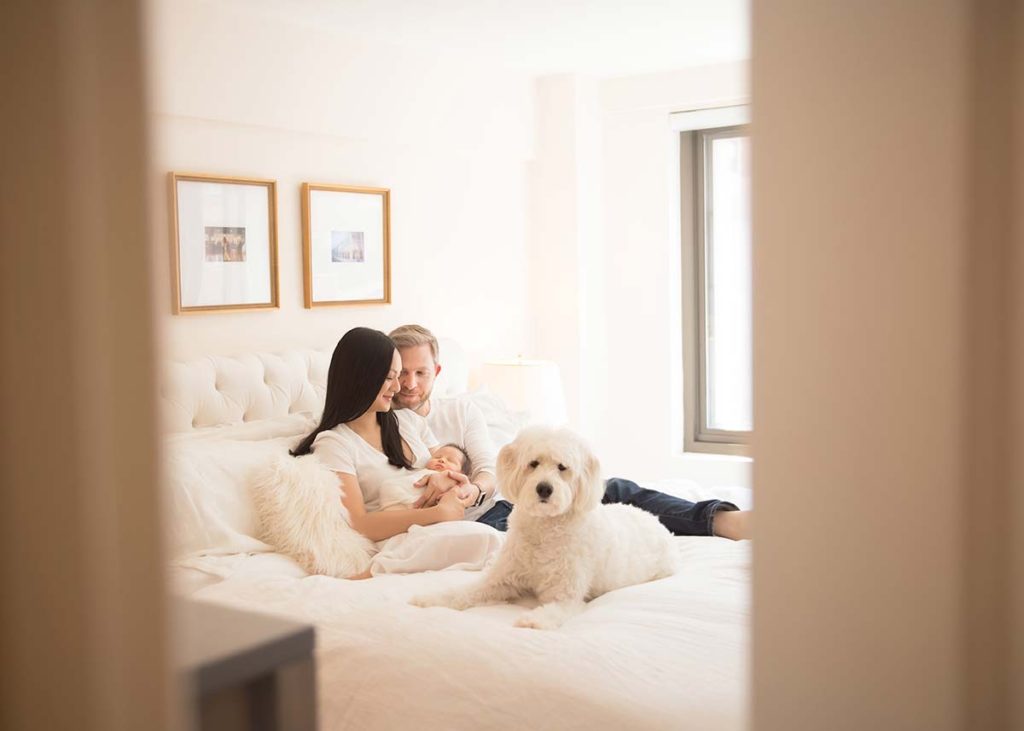 A modern apartment in Stamford, Connecticut is the setting for this lifestyle moment between two parents, their dog and a newborn baby.