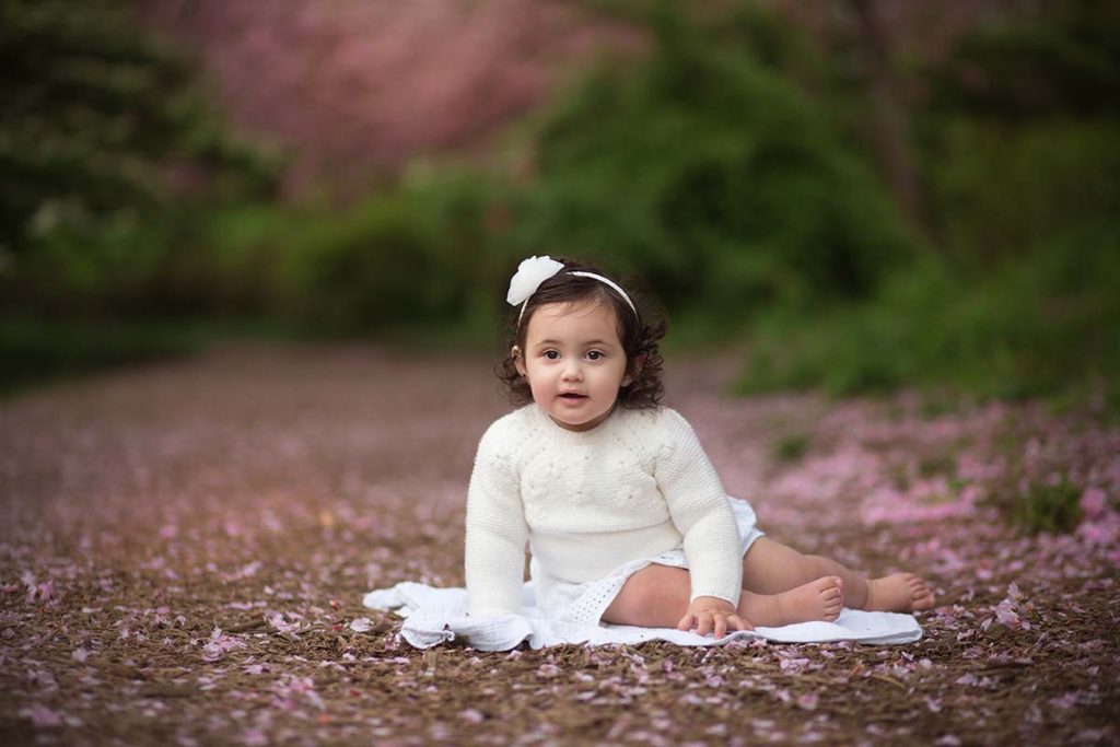 cherry blossoms baby sitting dirt path Cute baby girl sitting amidst cherry blossoms in Connecticut