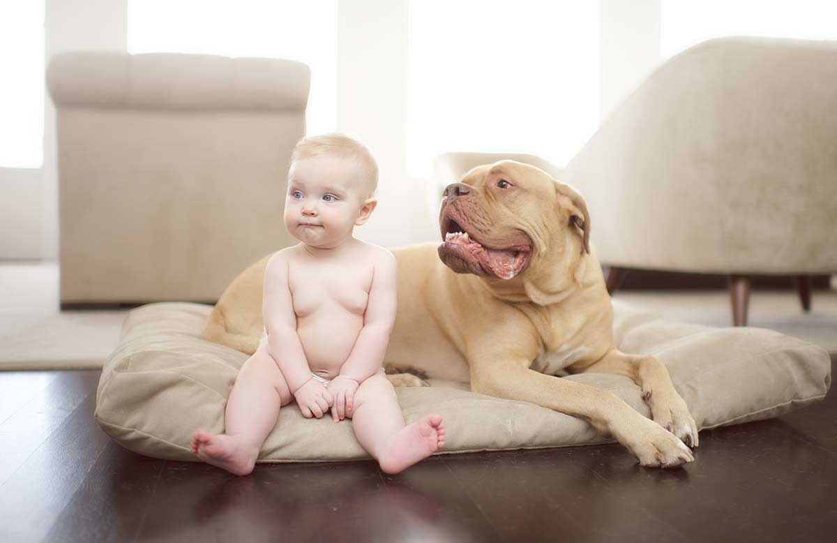 Big dog and a baby sitting together in this adorable baby photo