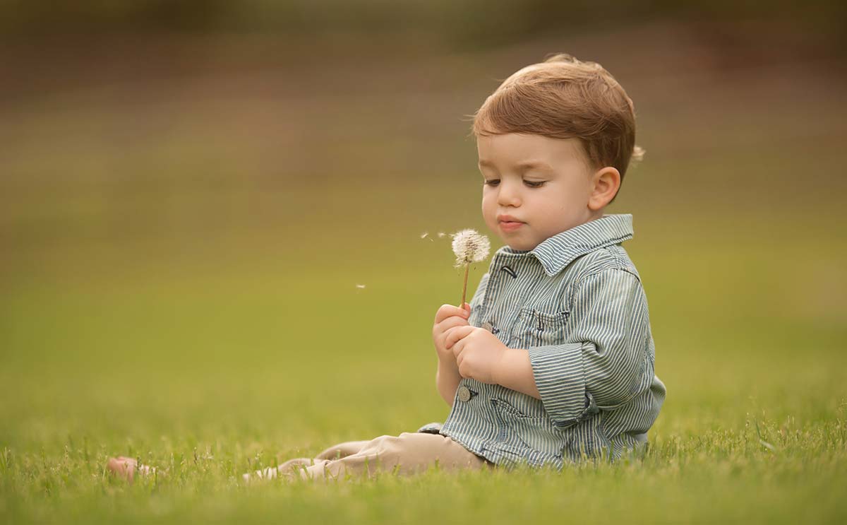 Little boy sitting in a grass on a Connecticut farm