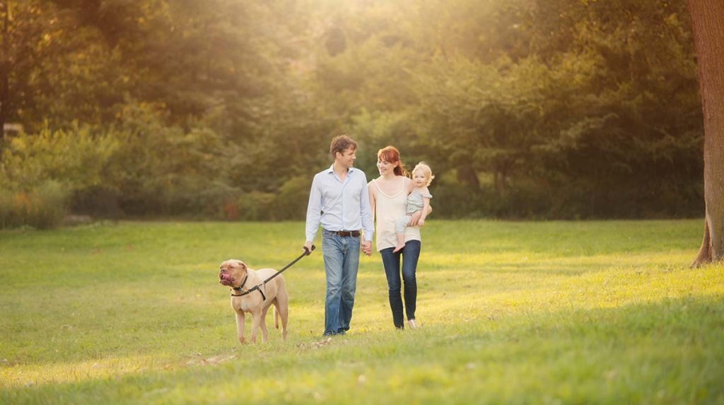Parents walking their dog with their baby in a park in Stamford Connecticut