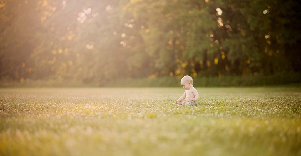 Toddler boy picking flowers in a field during the golden hour